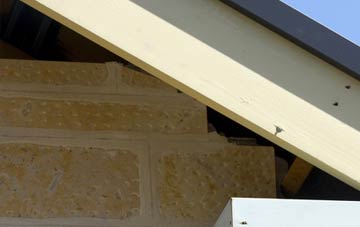 soffit repair Llanarmon