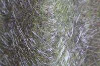 Llanarmon fibreglass roof work